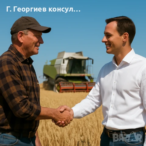 Ниви с. Светослав, снимка 1