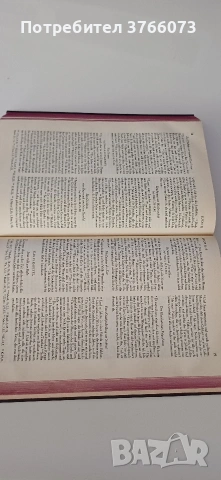 ,,Die Bibel " Мартин Лутер, снимка 6 - Антикварни и старинни предмети - 54233221