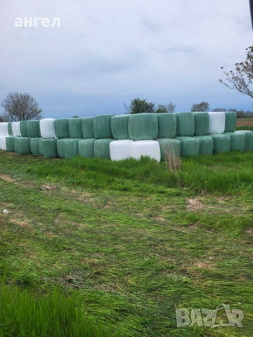 Сенаж от люцерна 