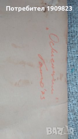 Две стари картини 1973, снимка 4 - Картини - 37202419