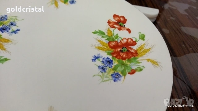 Стар английски костен порцелан чинии , снимка 12 - Антикварни и старинни предмети - 16064322