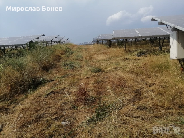 Косене на трева във фотоволтаични паркове (ФЕЦ), снимка 12 - Други - 31378938