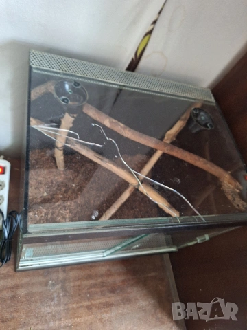терариум , снимка 4 - Терариуми и оборудване - 53221941