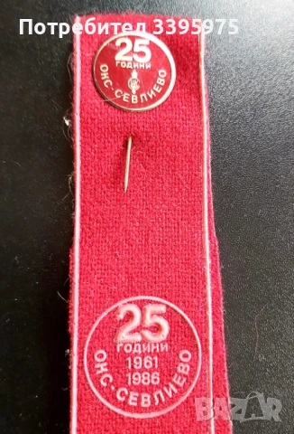 Колекция от значки и медали от социализма (50 бр), снимка 13 - Колекции - 51420655