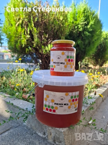 Пчелен мед , снимка 2 - За пчели - 54157461