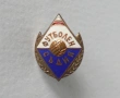 Футболен съдия - стар и красив знак на винт с емайл, снимка 1