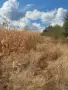 Продавам имот в с Иваняне, снимка 5