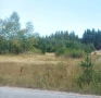 Парцел град Батак  местност Друма , снимка 5