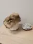 Дамска шапка от естествен косъм, снимка 2