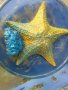 Морска звезда, снимка 1 - Други ценни предмети - 40111824