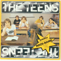 The Teens -Rock Band-Грамофонна плоча-LP 12”, снимка 1 - Грамофонни плочи - 36395947