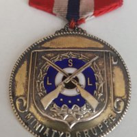 норвежки сребърен медал с емайл , снимка 2 - Антикварни и старинни предмети - 42141985
