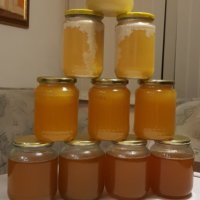 Чист, натурален пчелен мед., снимка 1 - Пчелни продукти - 39179593