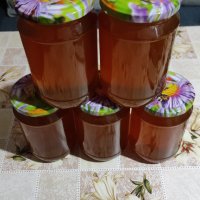 Екологично чист пчелен мед, 100 % натурален, снимка 2 - Пчелни продукти - 42081518