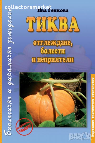 Тиква. Отглеждане, болести и неприятели, снимка 1