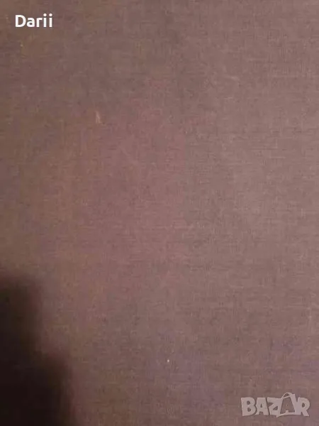 Шагал. Возвращение мастера, снимка 1