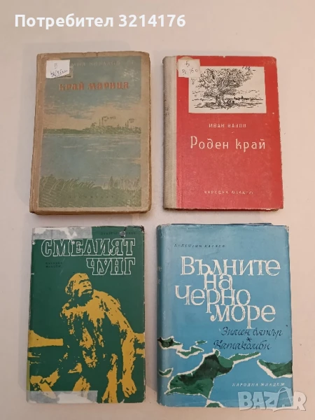 Смелият Чунг - Димитър Ангелов, снимка 1