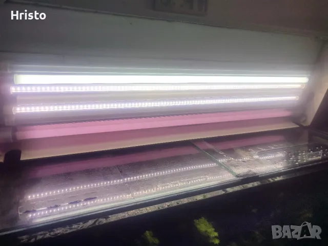 Аквариум 280л.шкаф и канистър, снимка 5 - Аквариуми - 48754907