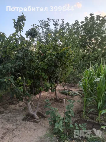 Продавам обработваемо място, снимка 18 - Земеделска земя - 48886187