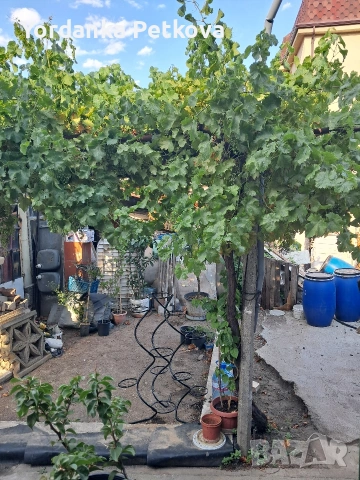 продавам къща клуцохор Сливен , снимка 7 - Къщи - 53981158