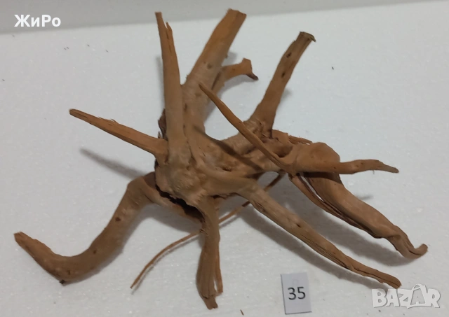 Корен от Азалия /декорация/ 35, снимка 4 - Други - 54093522