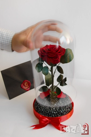Подарък за Коледа за Жена - Естествена Вечна Роза в Голяма Стъкленица / Подарък за Съпругата, снимка 6 - Подаръци за жени - 52529750