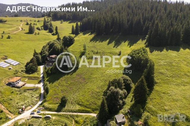 Продава парцел с. Проглед (Смолян-Чепеларе), снимка 6 - Парцели - 50856980