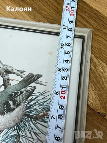 Картинка с птиченце в рамка , снимка 9 - Декорация за дома - 50080457