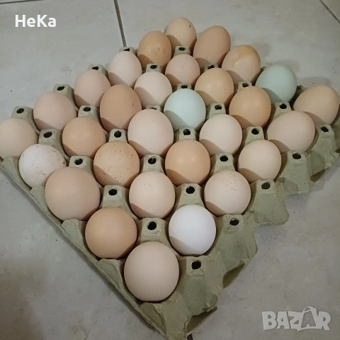 домашни яйца 