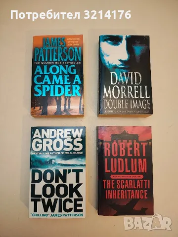 2nd Chance - James Patterson, Andrew Gross, снимка 2 - Художествена литература - 50191604