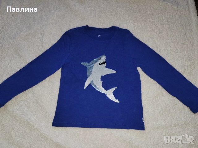 Лот от 11 Детски Блузки с Дълъг Ръкав за Момче - 4-5г, снимка 5 - Детски Блузи и туники - 51119365