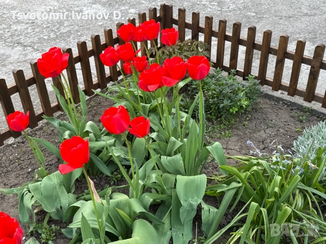 Докаративна ограда 100/30