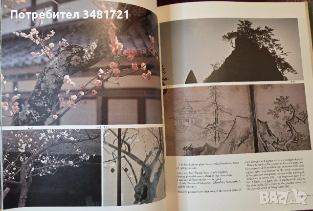 Япония - модели на приемственост / Japan. Patterns of Continuity, снимка 7 - Художествена литература - 54243921