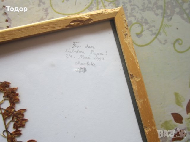 Стара картина Хербарий, снимка 3 - Други - 30197313