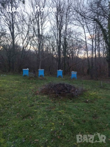 продавам 4бр. кошери, заедно с пчелни семейства и инвентар, снимка 3 - За пчели - 53244114