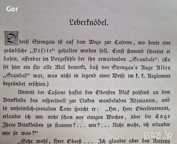 РЯДКА АНТИКВАРНА КНИГА | L.R. Zimmermann „Lose Skizzen" , снимка 7 - Антикварни и старинни предмети - 53944207