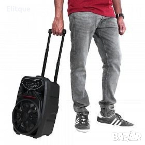 Преносим Bluetooth високоговорител с вход за микрофон PK-09(L), снимка 3 - Друга електроника - 52787251