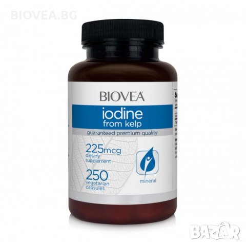 Хранителна добавка Iodine From Kelp 225mg 250 Капсули-СЪС СРОК НА ГОДНОСТ 4/2024Г, снимка 1 - Хранителни добавки - 30026415