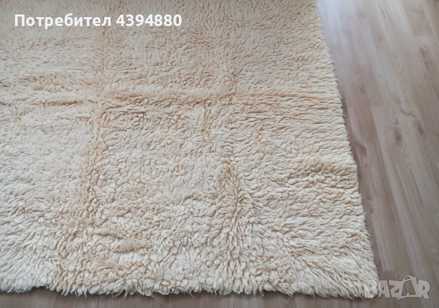 Нов вълнен китеник 