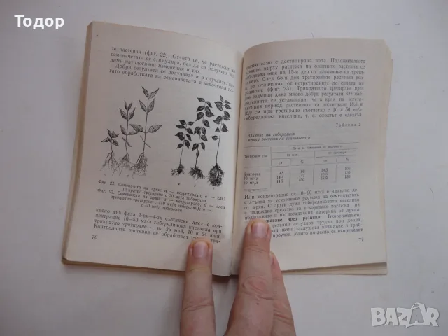 Книга Едроплоден дрян Цолов , снимка 8 - Специализирана литература - 56252624