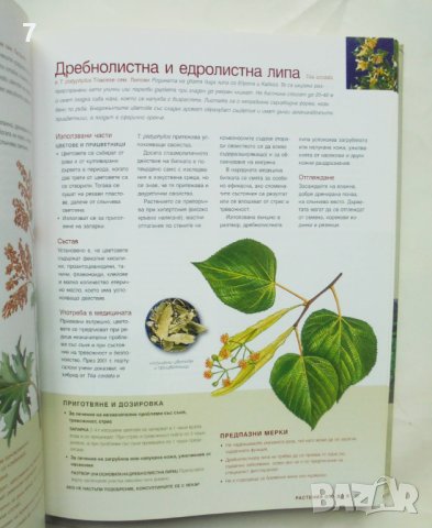 Книга Лекарствени растения Наръчник на билките и лечебните им свойства 2006 г. Рийдърс Дайджест, снимка 3 - Енциклопедии, справочници - 44459348