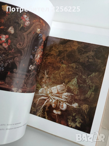 Западноевропейската живопис 14 - 18 век , снимка 4 - Специализирана литература - 53934904