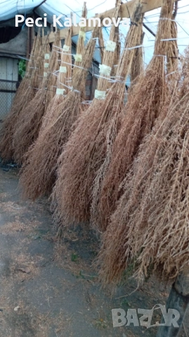 Метли, снимка 2 - Други стоки за дома - 53052082