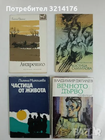 Частица от живота. Фашисткият концлагер за жени (юли 1941- ноември 1943) - Лиляна Милошева 