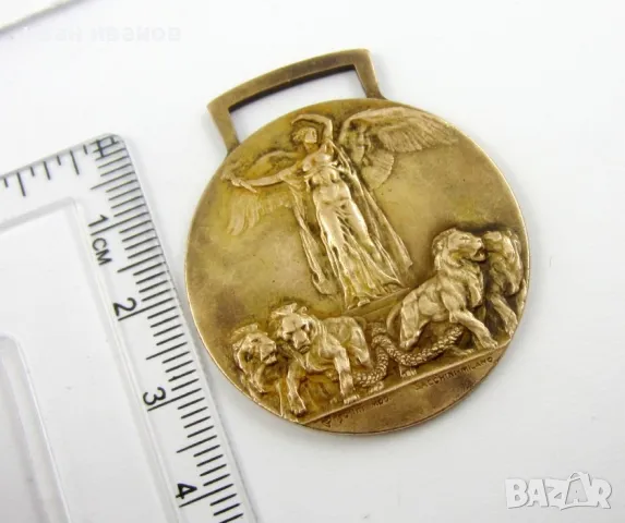 КРАЛСТВО ИТАЛИЯ-НАГРАДЕН МЕДАЛ ЗА ПОБЕДАТА В ПЪРВА СВ.ВОЙНА, снимка 4 - Колекции - 49871510