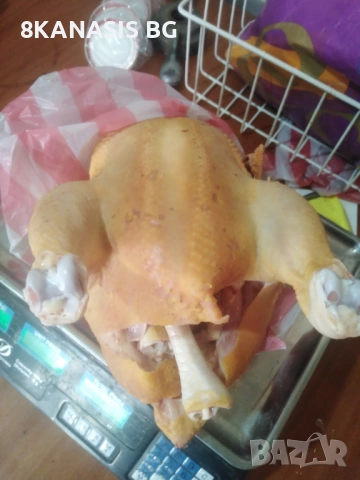 Продавам домашни бройлери заклани с дреболии и крака 5,10 евро за килограм! 