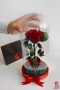 Подарък за Коледа за Жена - Естествена Вечна Роза в Голяма Стъкленица / Подарък за Съпругата, снимка 6