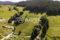 Продава парцел с. Проглед (Смолян-Чепеларе), снимка 6