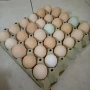 домашни яйца , снимка 1