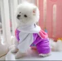 Дрешки за кучета/котки, снимка 5